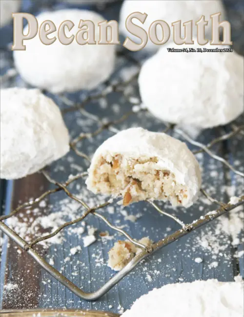 Issue Cover
