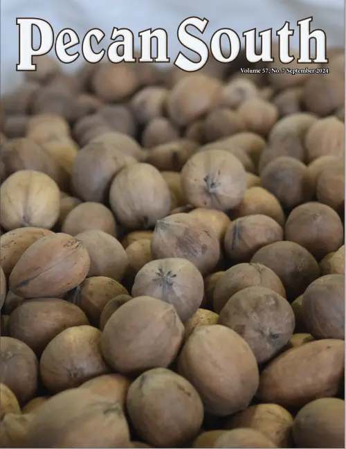 Issue Cover