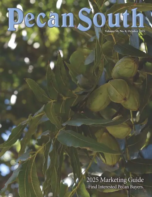 Issue Cover