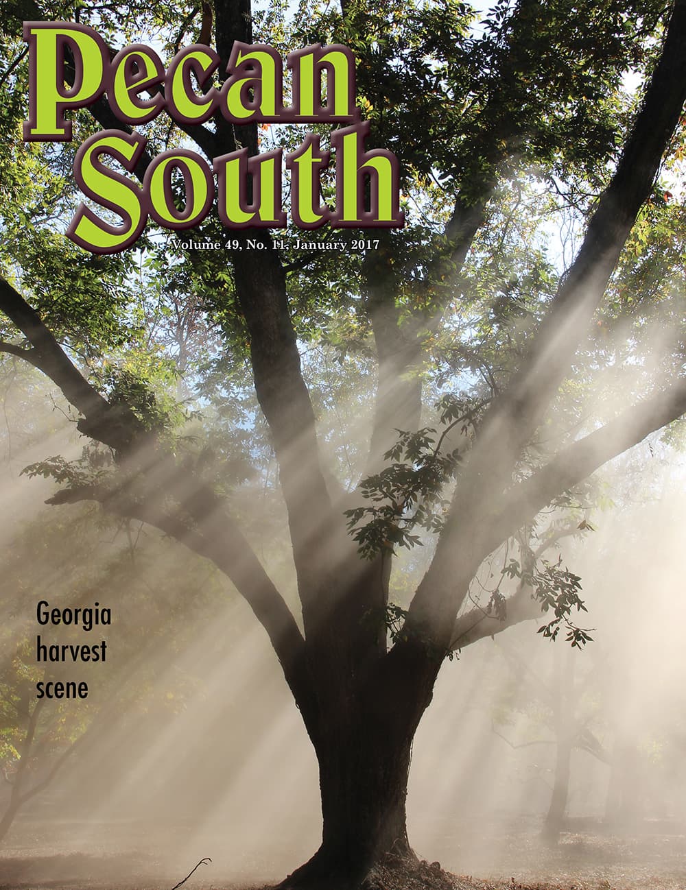 Issue Cover