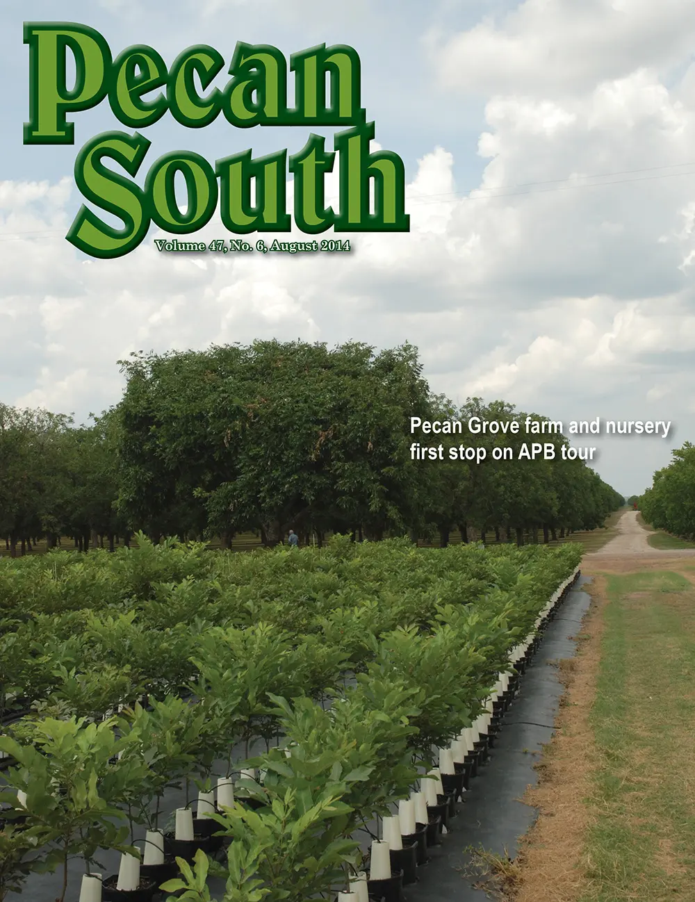 Issue Cover