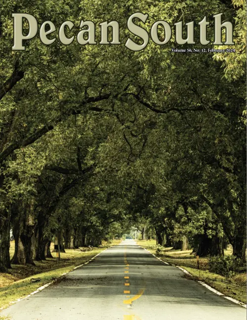 Issue Cover