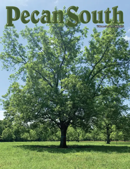 Issue Cover