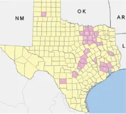 a map showcasing the number of cases of the west nile virus in Texas in 2012