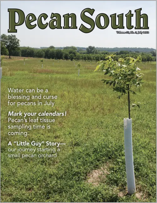 Issue Cover