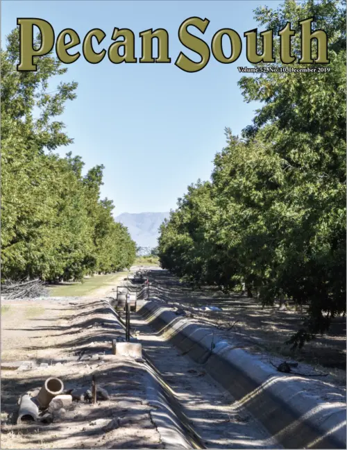 Issue Cover