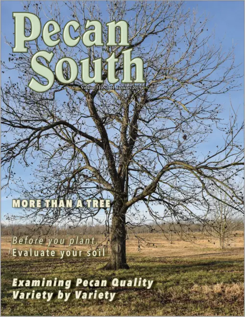 Issue Cover