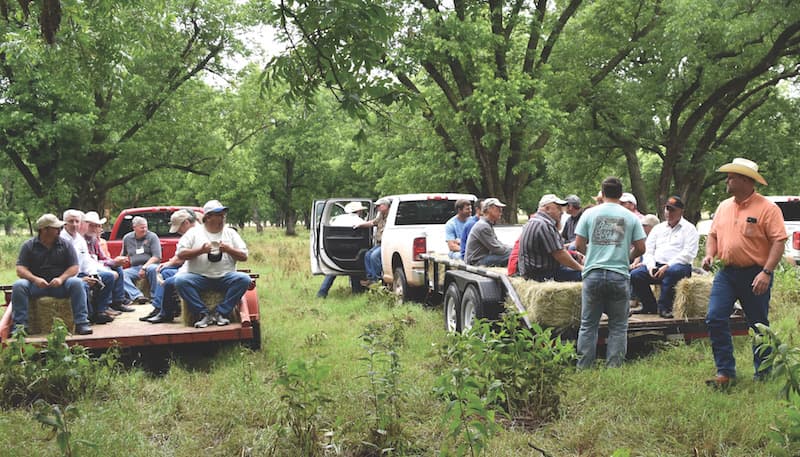 OPGA attendees sit in trailers in the middle of a pecan orchard.
