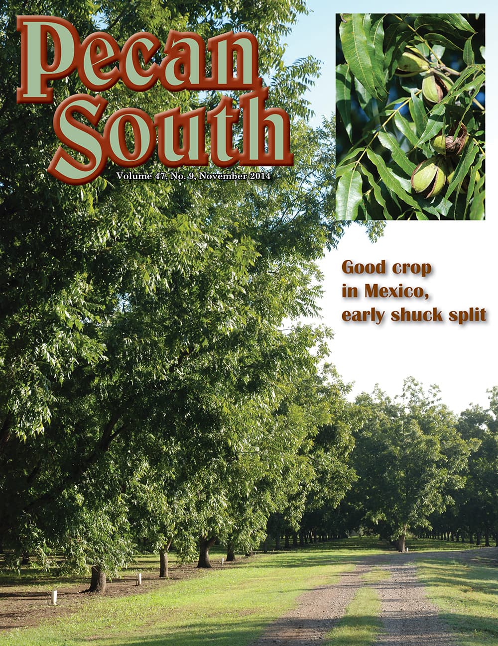 Issue Cover