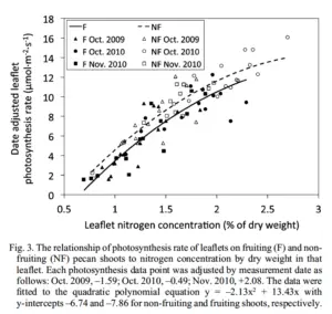 This chart shows how the nitrogen levels in leaf tissue shifts as leaf photosynthetic rates change.