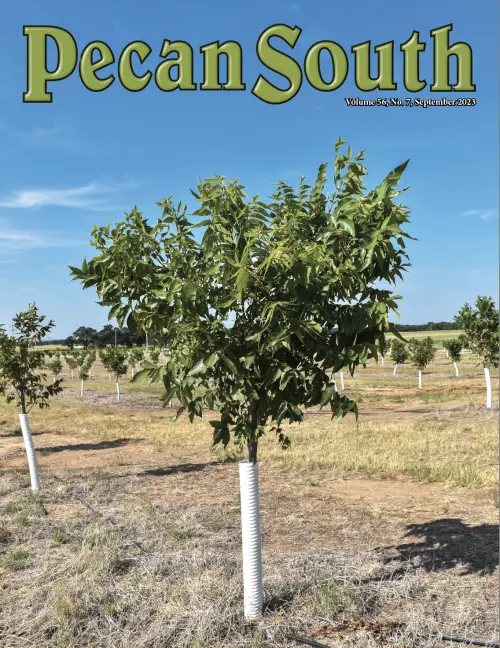 Issue Cover