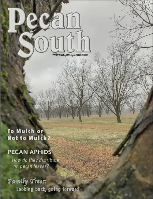 Issue Cover