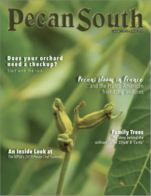 Issue Cover