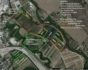 A satellite image of the USDA ARS Pecan Breeding and Genetics Program in Brownwood.