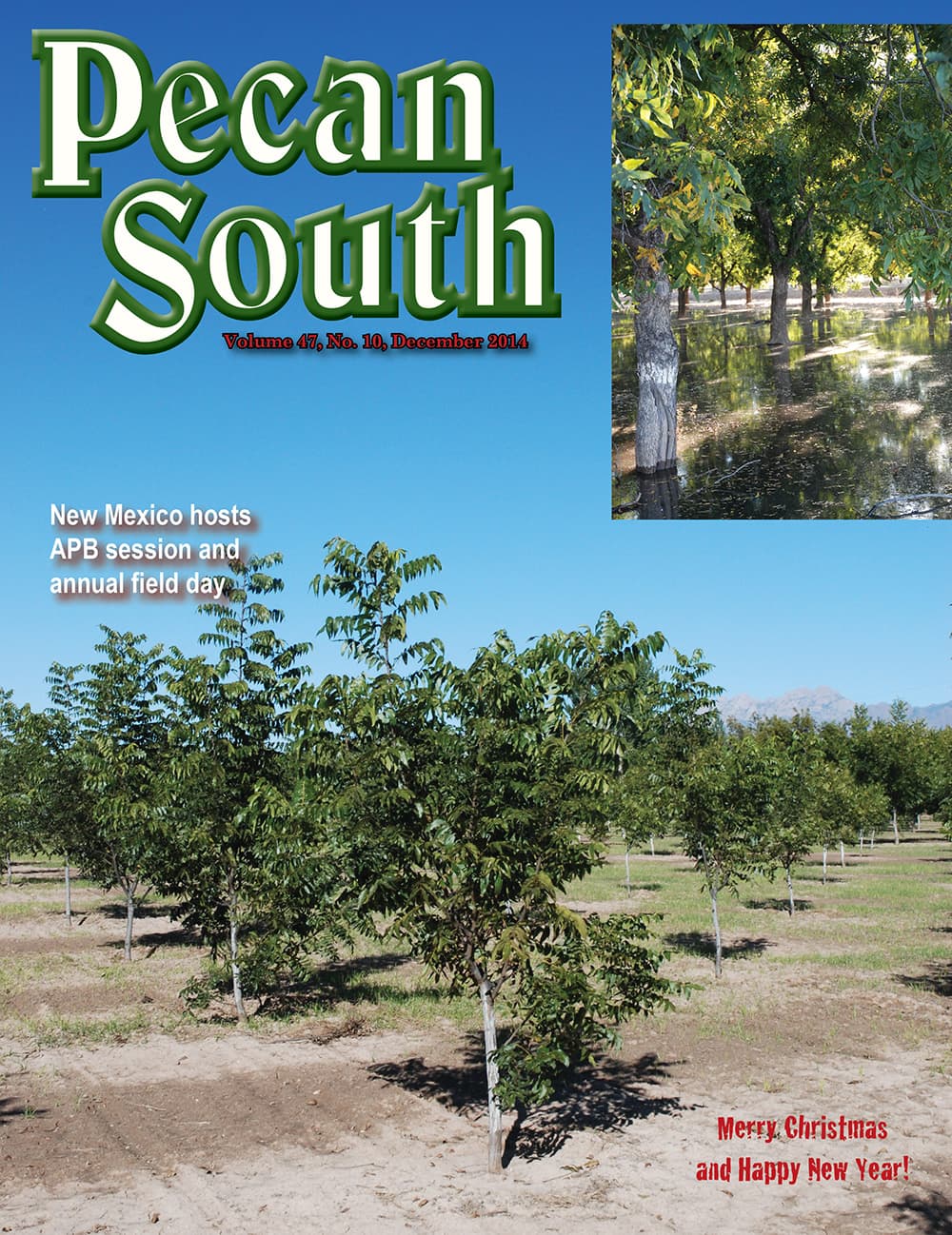 Issue Cover