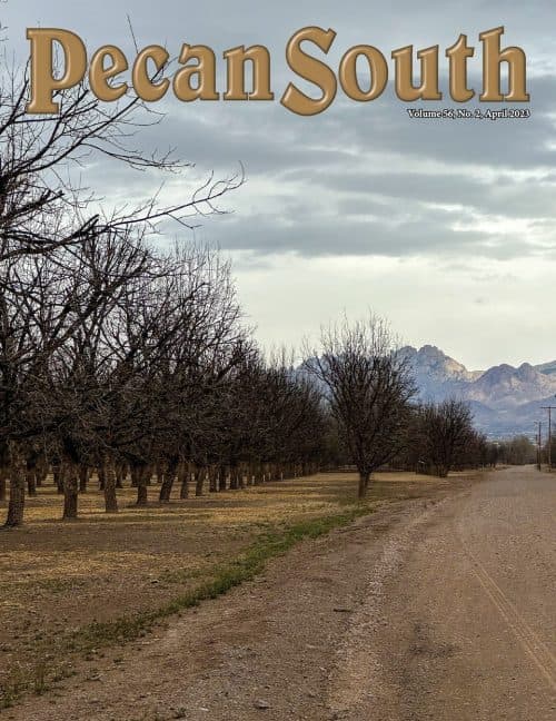 Issue Cover