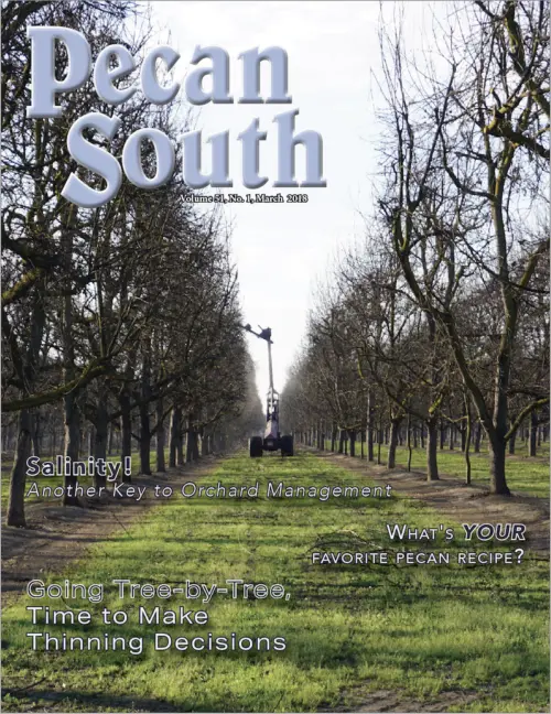 Issue Cover