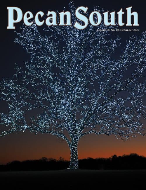 Issue Cover