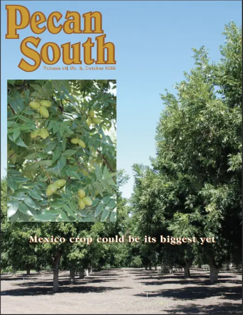 Issue Cover