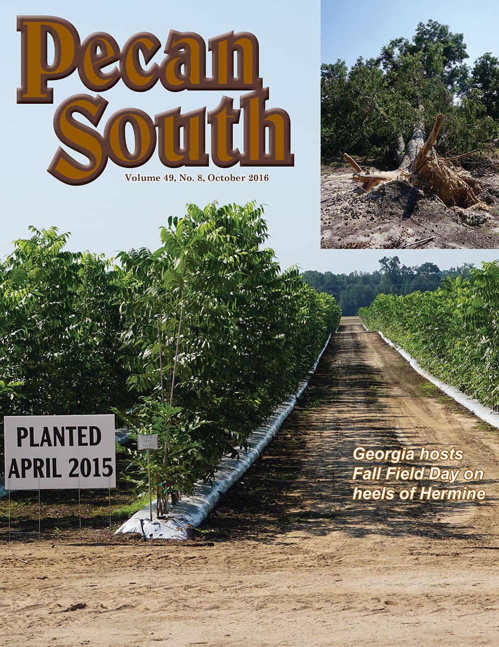 Issue Cover