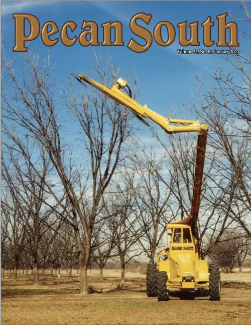 Issue Cover