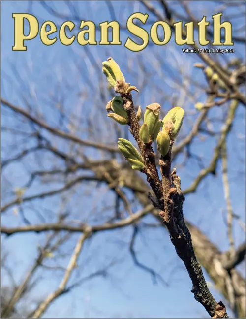 Issue Cover