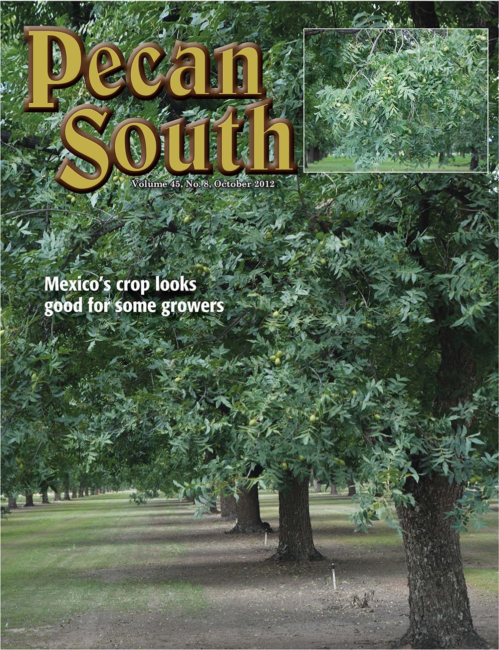 Issue Cover