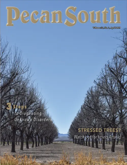 Issue Cover