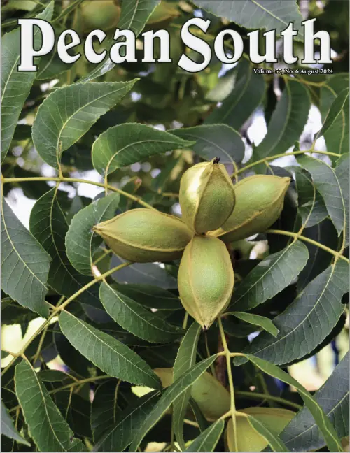 Issue Cover