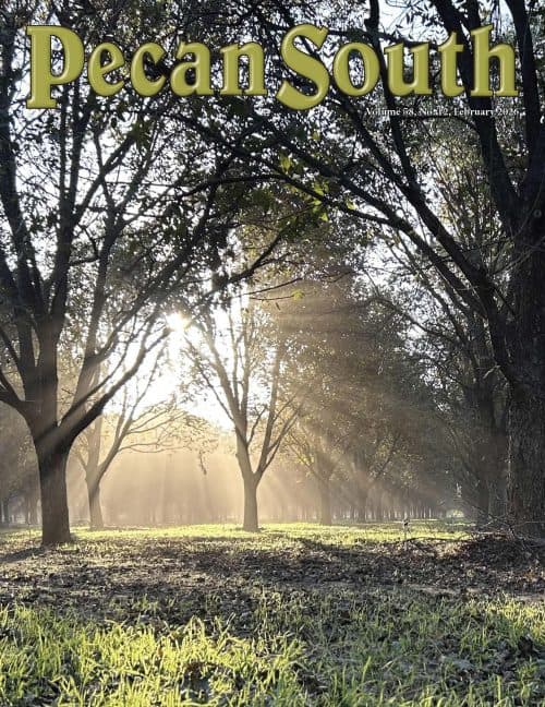 Issue Cover