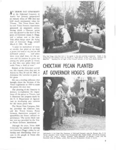 A clipping for an issue of The Pecan Quarterly about pecan trees being planted at Gov. Hogg's grave.