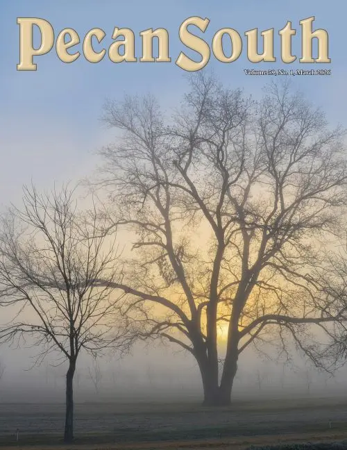 Issue Cover