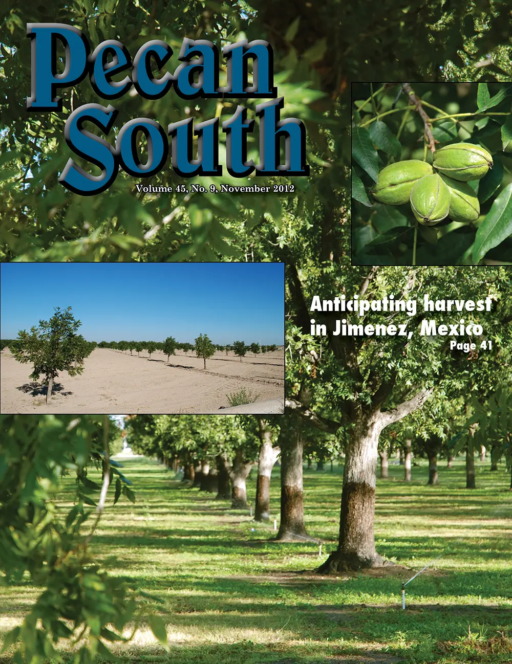 Issue Cover