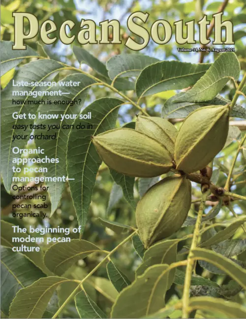 Issue Cover