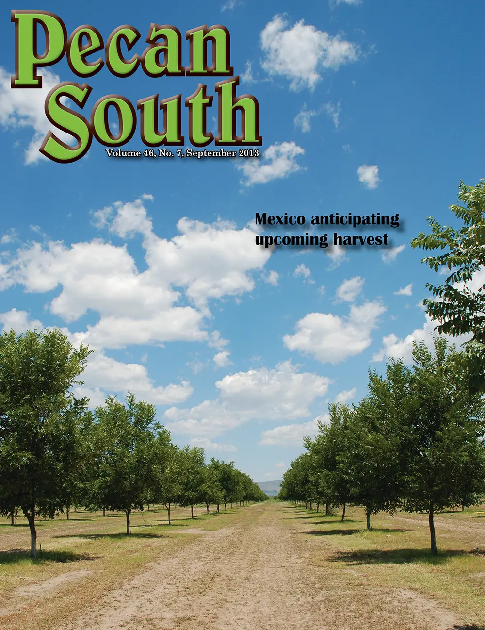Issue Cover