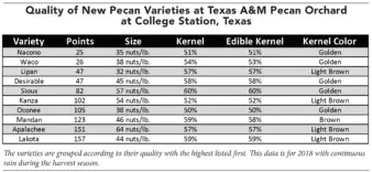 Table listing the new pecan varieties from the Texas A&M Orchard in order of their quality scores