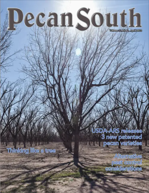 Issue Cover