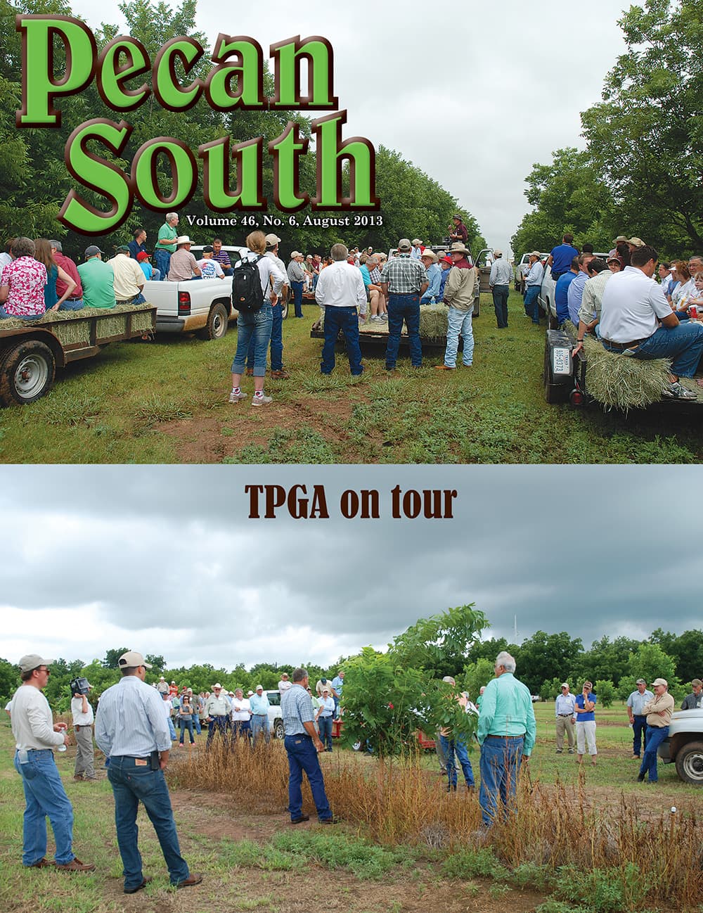 Issue Cover