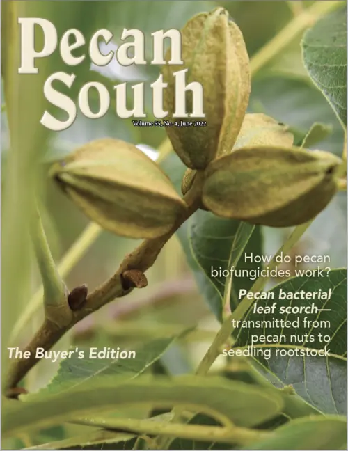 Issue Cover
