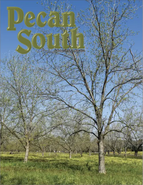 Issue Cover