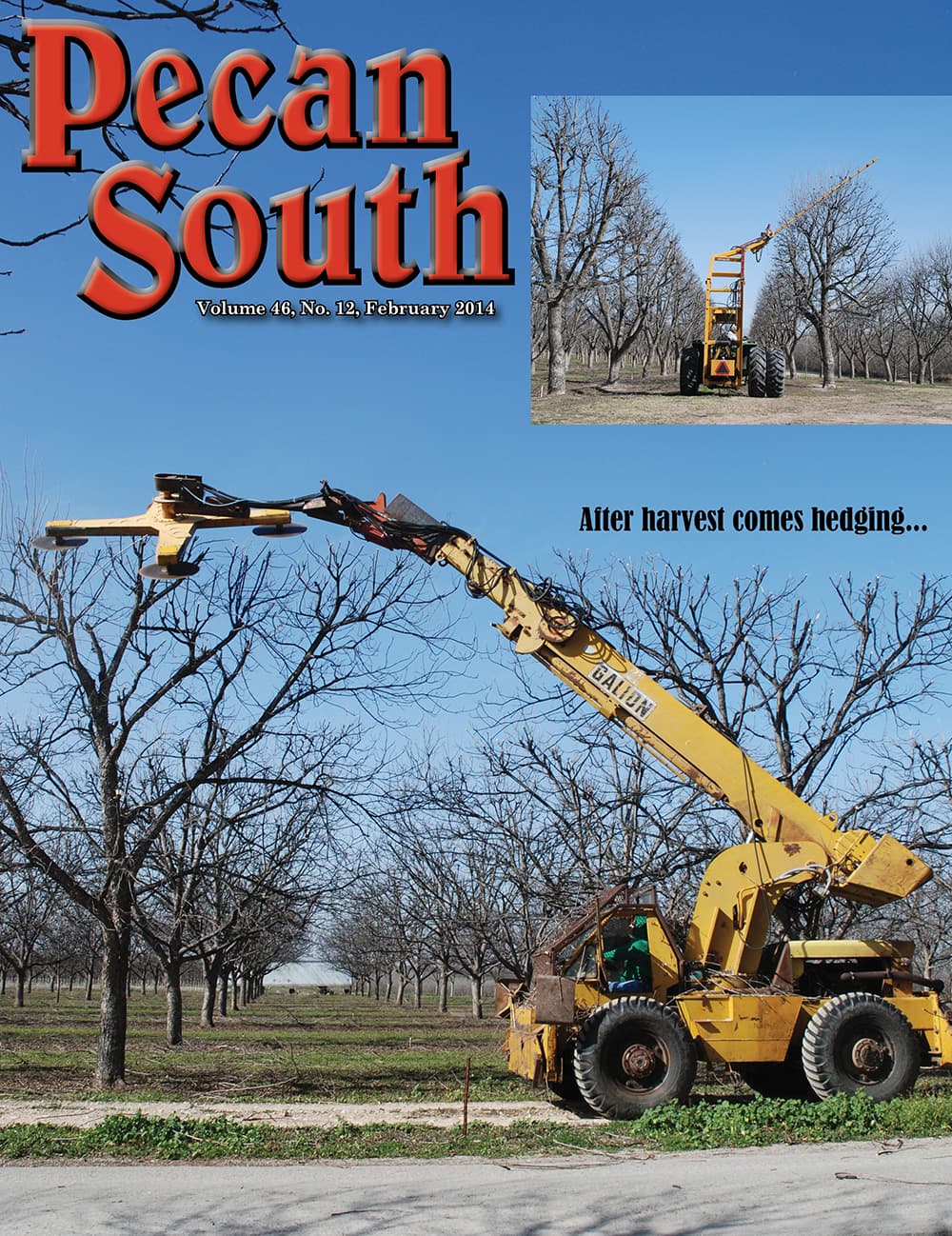 Issue Cover