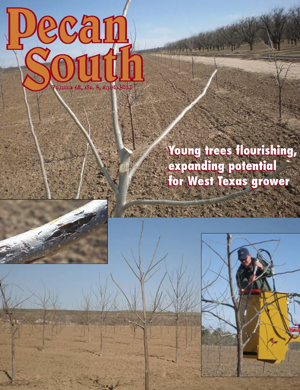 Issue Cover