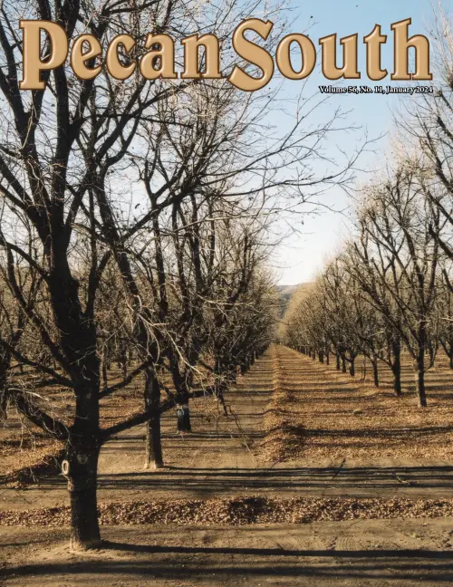 Issue Cover