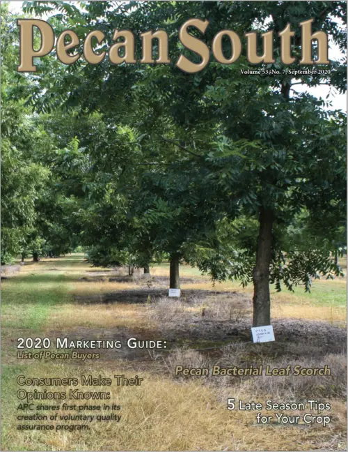 Issue Cover