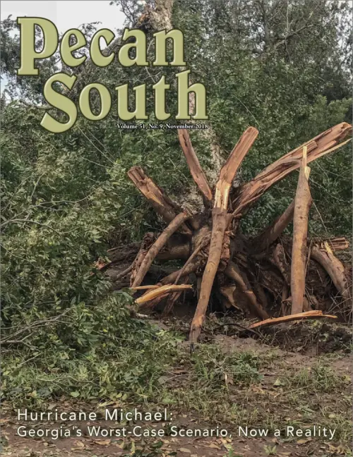Issue Cover