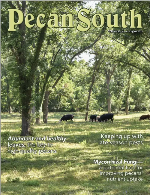 Issue Cover