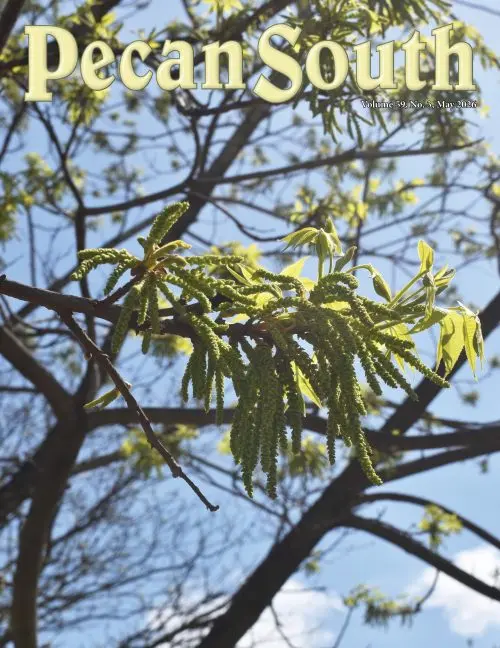Issue Cover