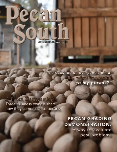 Issue Cover