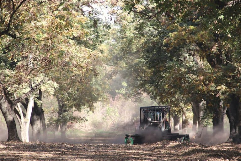 Get the Pecan Newsletter Image