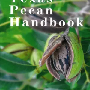 Texas Pecan Handbook